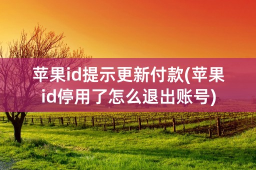 苹果id提示更新付款(苹果id停用了怎么退出账号)