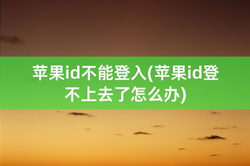 苹果id不能登入(苹果id登不上去了怎么办)