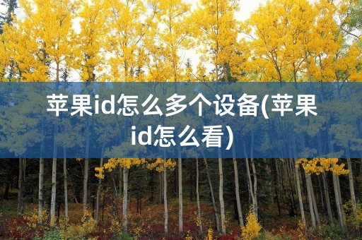 苹果id怎么多个设备(苹果id怎么看)