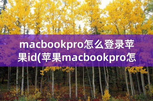 macbookpro怎么登录苹果id(苹果macbookpro怎么下载)