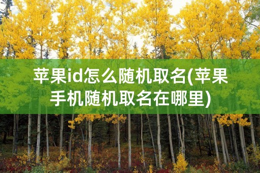 苹果id怎么随机取名(苹果手机随机取名在哪里)