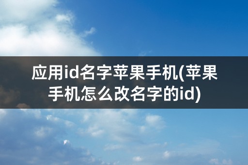 应用id名字苹果手机(苹果手机怎么改名字的id)