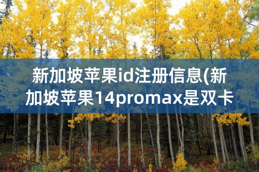 新加坡苹果id注册信息(新加坡苹果14promax是双卡吗)