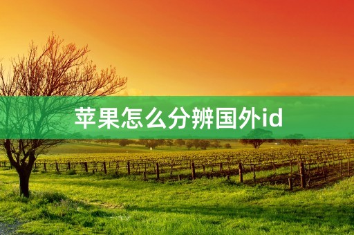 苹果怎么分辨国外id