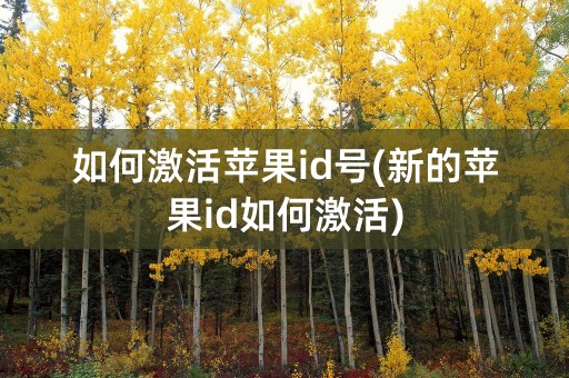 如何激活苹果id号(新的苹果id如何激活)