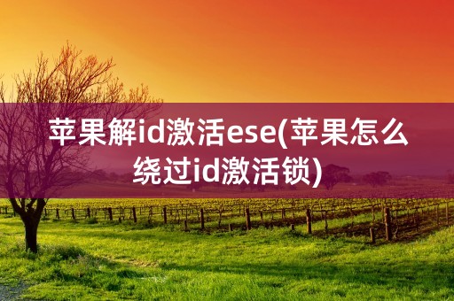 苹果解id激活ese(苹果怎么绕过id激活锁)