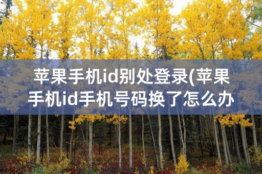 苹果手机id别处登录(苹果手机id手机号码换了怎么办)