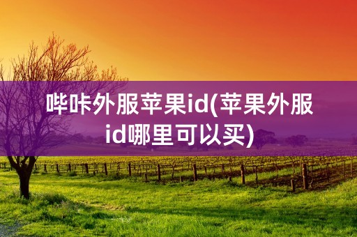 哔咔外服苹果id(苹果外服id哪里可以买)