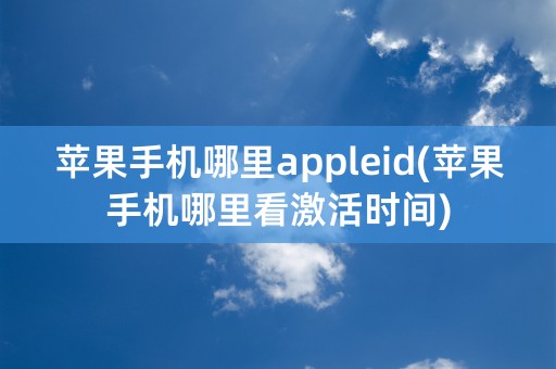 苹果手机哪里appleid(苹果手机哪里看激活时间)