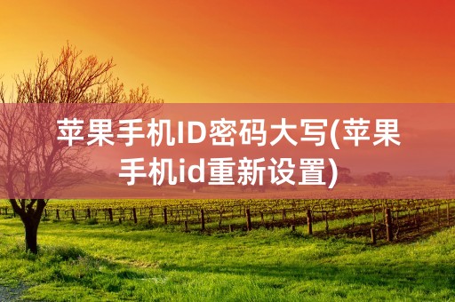 苹果手机ID密码大写(苹果手机id重新设置)