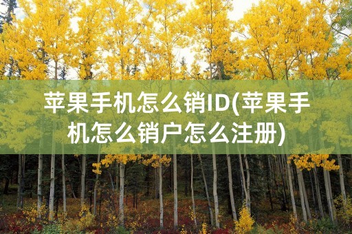 苹果手机怎么销ID(苹果手机怎么销户怎么注册)