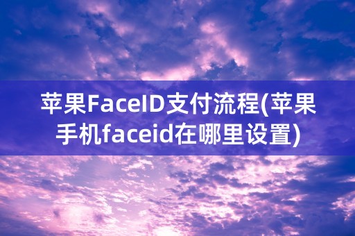 苹果FaceID支付流程(苹果手机faceid在哪里设置)