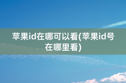 苹果id在哪可以看(苹果id号在哪里看)