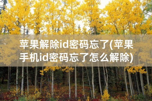 苹果解除id密码忘了(苹果手机id密码忘了怎么解除)