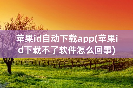 苹果id自动下载app(苹果id下载不了软件怎么回事)