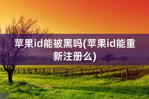 苹果id能被黑吗(苹果id能重新注册么)