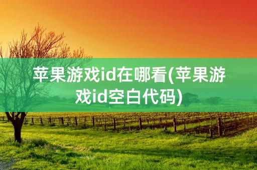 苹果游戏id在哪看(苹果游戏id空白代码)