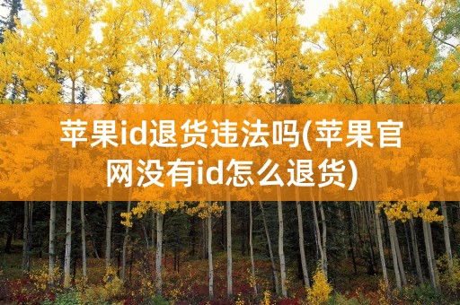 苹果id退货违法吗(苹果官网没有id怎么退货)