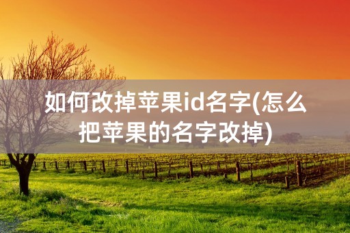 如何改掉苹果id名字(怎么把苹果的名字改掉)