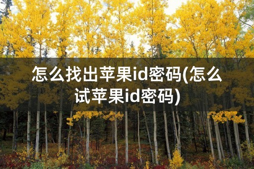 怎么找出苹果id密码(怎么试苹果id密码)