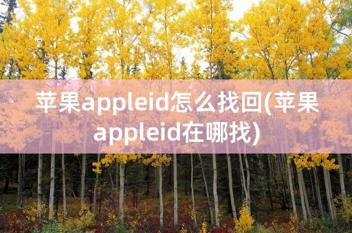 苹果appleid怎么找回(苹果appleid在哪找)