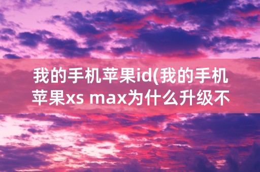 我的手机苹果id(我的手机苹果xs max为什么升级不了)