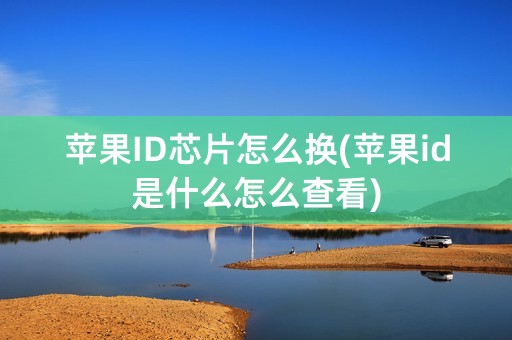 苹果ID芯片怎么换(苹果id是什么怎么查看)