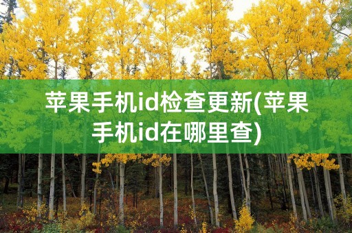 苹果手机id检查更新(苹果手机id在哪里查)