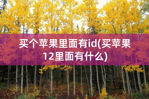 买个苹果里面有id(买苹果12里面有什么)