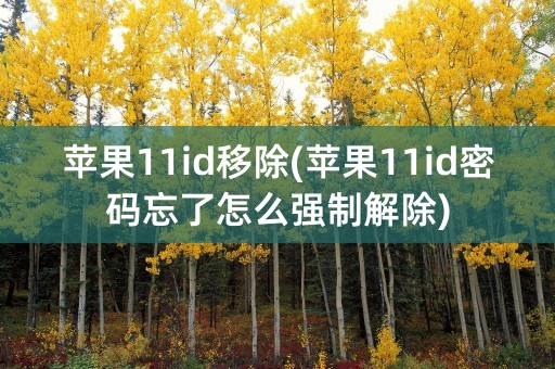 苹果11id移除(苹果11id密码忘了怎么强制解除)