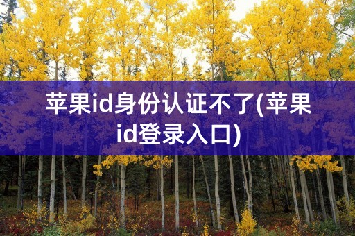 苹果id身份认证不了(苹果id登录入口)