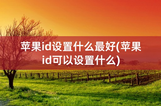 苹果id设置什么最好(苹果id可以设置什么)