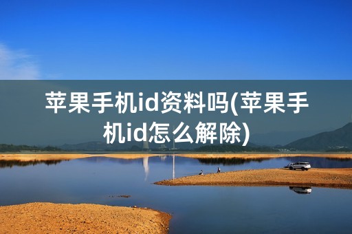 苹果手机id资料吗(苹果手机id怎么解除)