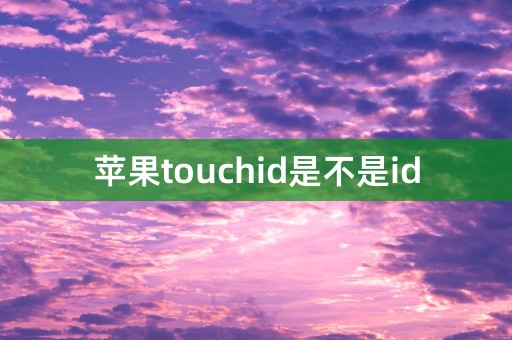 苹果touchid是不是id