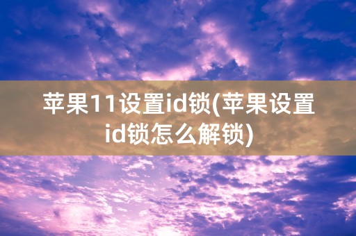 苹果11设置id锁(苹果设置id锁怎么解锁)