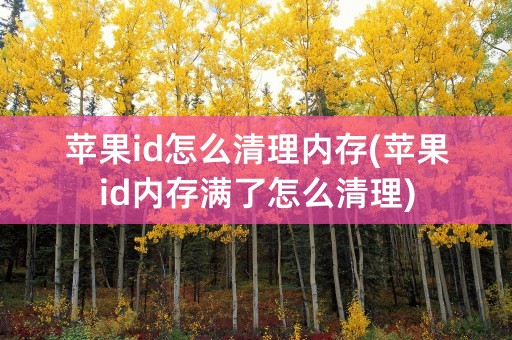 苹果id怎么清理内存(苹果id内存满了怎么清理)