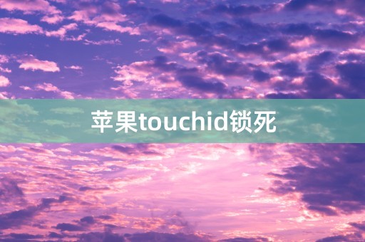 苹果touchid锁死