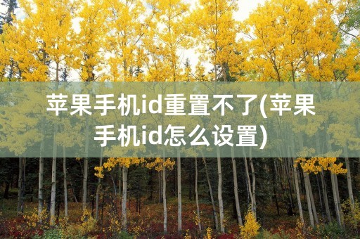 苹果手机id重置不了(苹果手机id怎么设置)