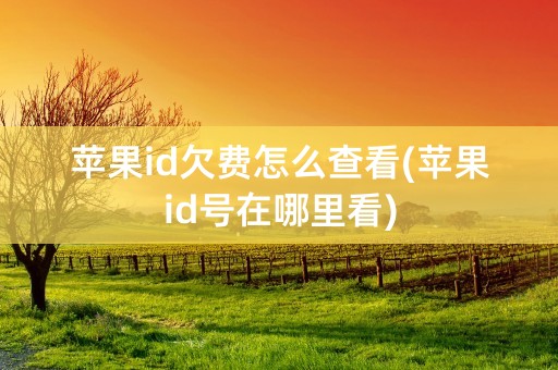 苹果id欠费怎么查看(苹果id号在哪里看)