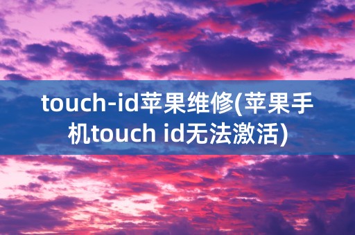 touch-id苹果维修(苹果手机touch id无法激活)