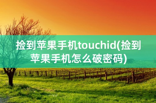 捡到苹果手机touchid(捡到苹果手机怎么破密码)