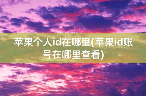 苹果个人id在哪里(苹果id账号在哪里查看)