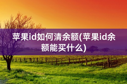 苹果id如何清余额(苹果id余额能买什么)