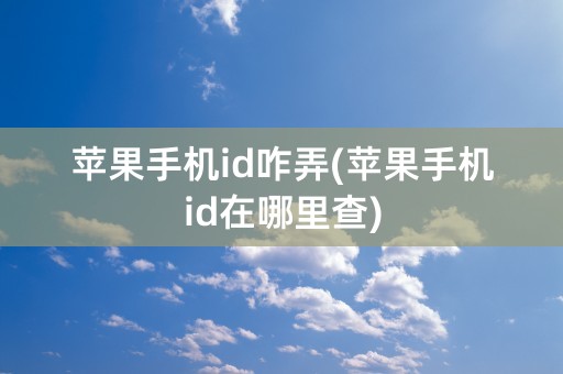 苹果手机id咋弄(苹果手机id在哪里查)