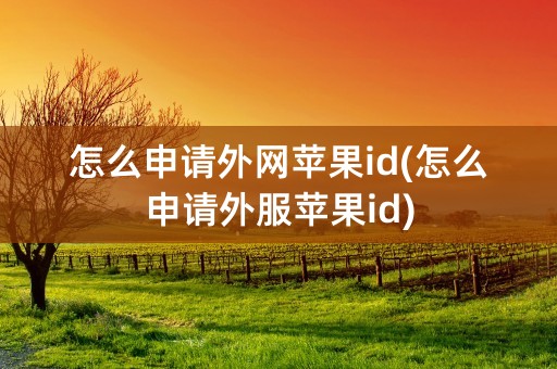 怎么申请外网苹果id(怎么申请外服苹果id)