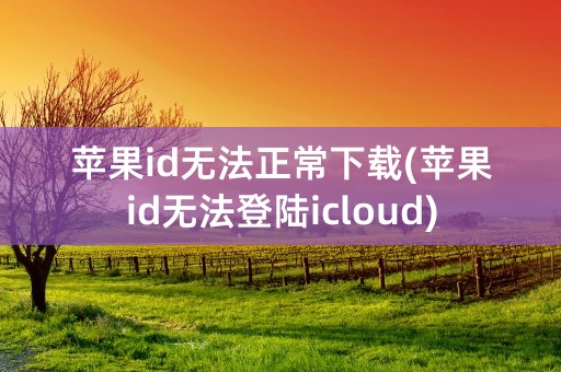 苹果id无法正常下载(苹果id无法登陆icloud)