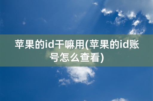 苹果的id干嘛用(苹果的id账号怎么查看)