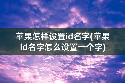 苹果怎样设置id名字(苹果id名字怎么设置一个字)