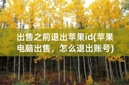 出售之前退出苹果id(苹果电脑出售，怎么退出账号)