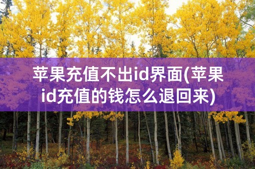 苹果充值不出id界面(苹果id充值的钱怎么退回来)